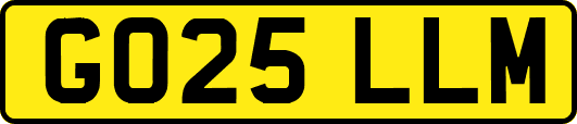 GO25LLM