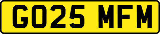 GO25MFM