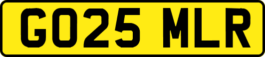 GO25MLR