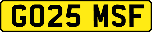 GO25MSF