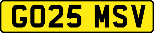 GO25MSV