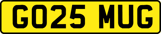 GO25MUG
