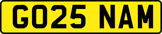 GO25NAM
