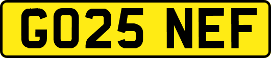 GO25NEF