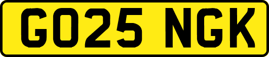 GO25NGK