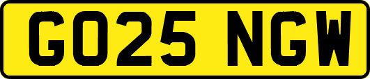 GO25NGW