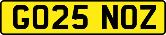 GO25NOZ