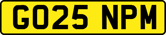 GO25NPM