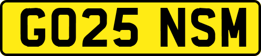 GO25NSM