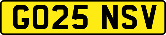 GO25NSV