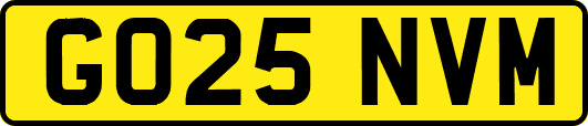 GO25NVM