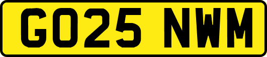 GO25NWM