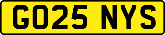 GO25NYS