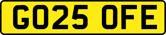 GO25OFE