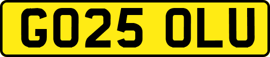 GO25OLU