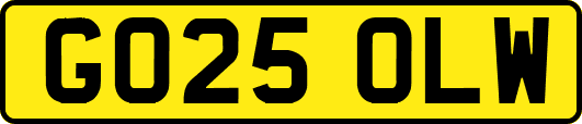 GO25OLW