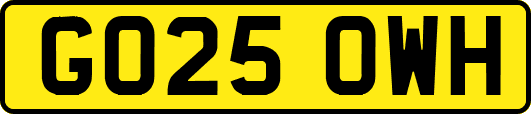 GO25OWH