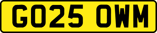 GO25OWM