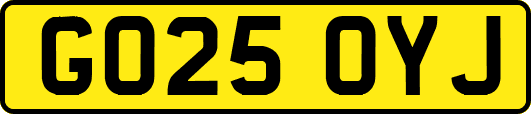 GO25OYJ