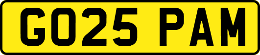 GO25PAM