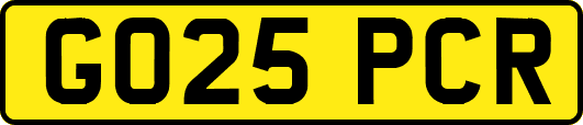 GO25PCR