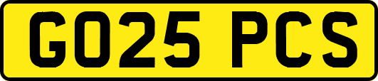 GO25PCS