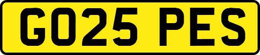 GO25PES