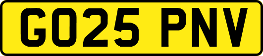 GO25PNV
