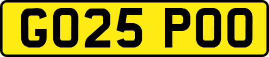 GO25POO
