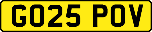 GO25POV