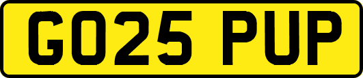GO25PUP