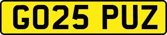 GO25PUZ