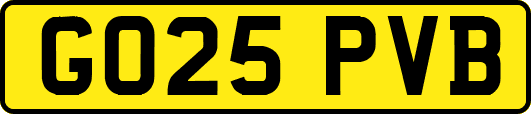 GO25PVB
