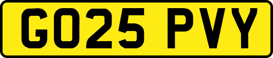 GO25PVY