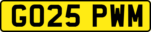 GO25PWM