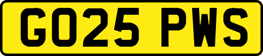 GO25PWS