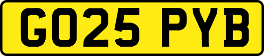 GO25PYB