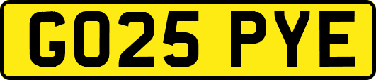 GO25PYE