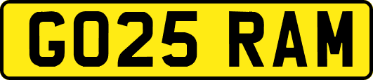 GO25RAM