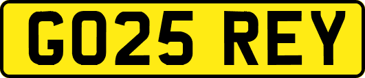 GO25REY