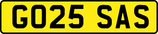 GO25SAS