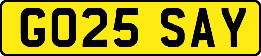 GO25SAY
