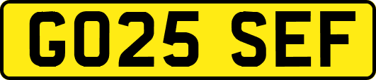 GO25SEF