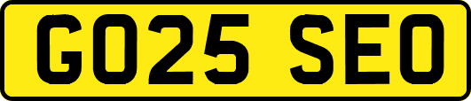 GO25SEO