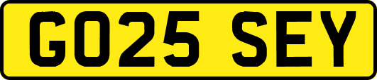 GO25SEY