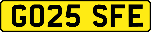 GO25SFE