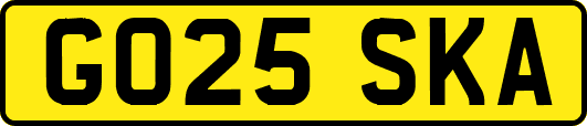 GO25SKA