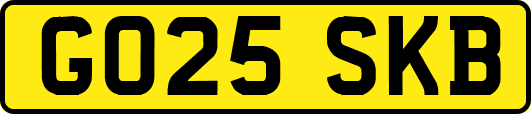 GO25SKB