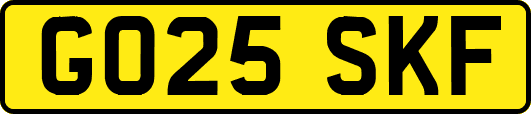 GO25SKF
