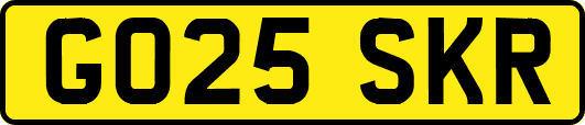 GO25SKR